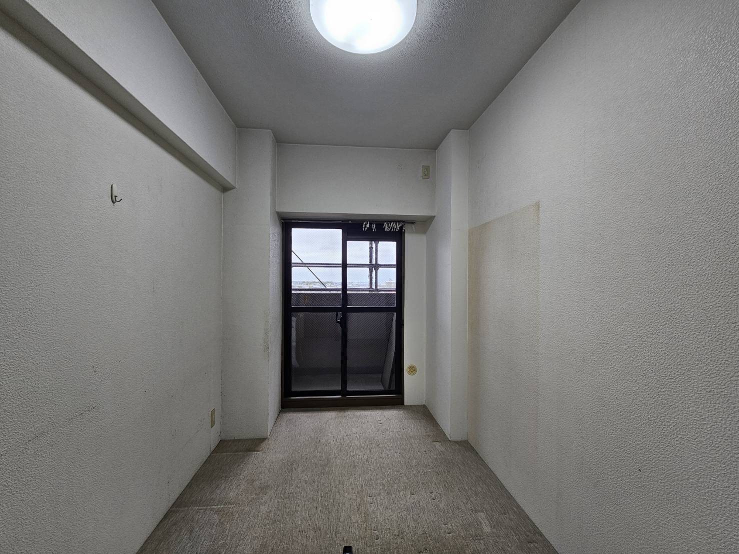 Before画像